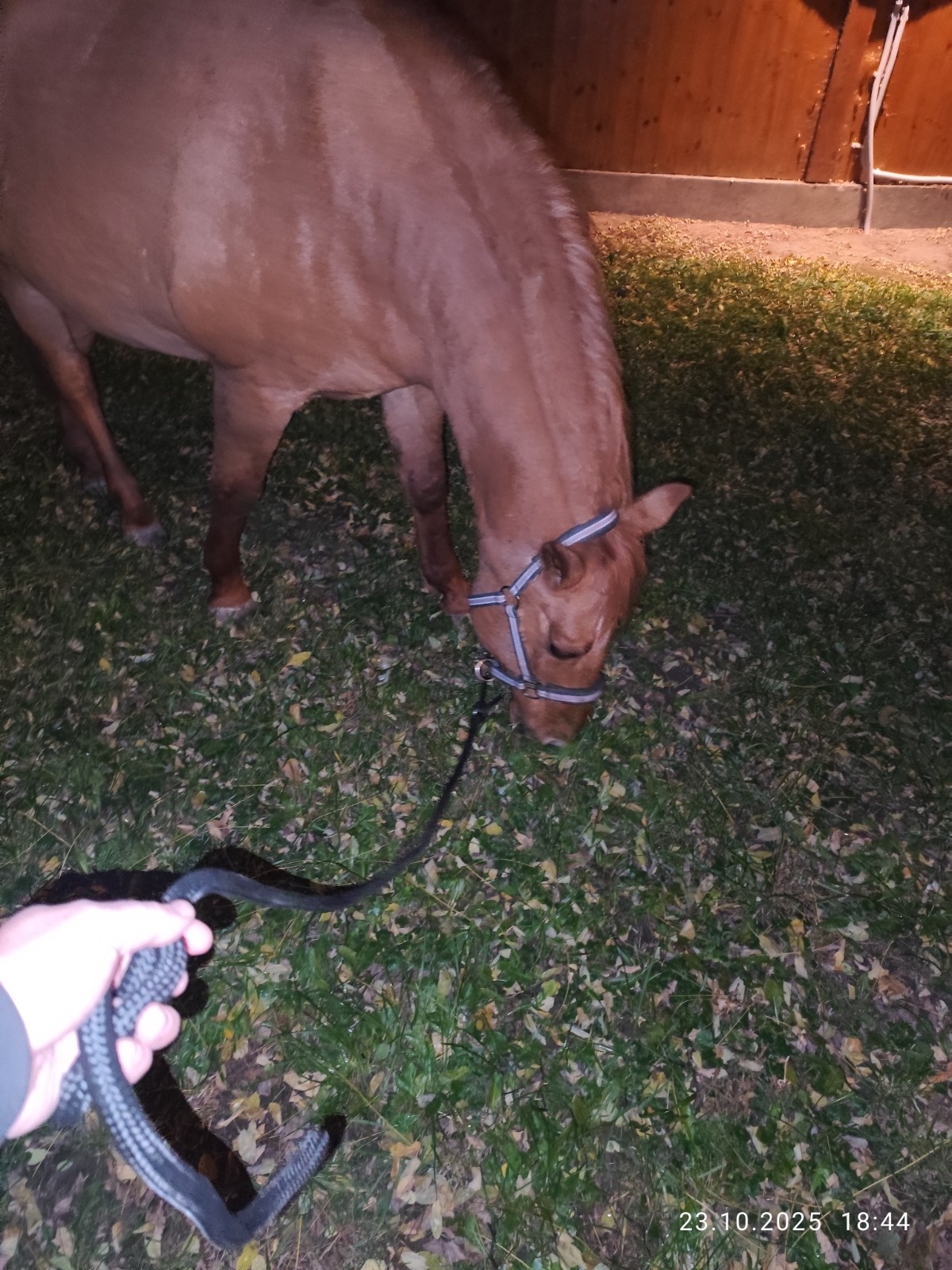 14dac2bb-293e-42c0-a3a7-d56c6dd894c6