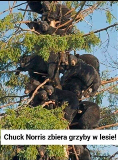 7a4f4fa8-b27e-4bbb-8105-de09975e3209