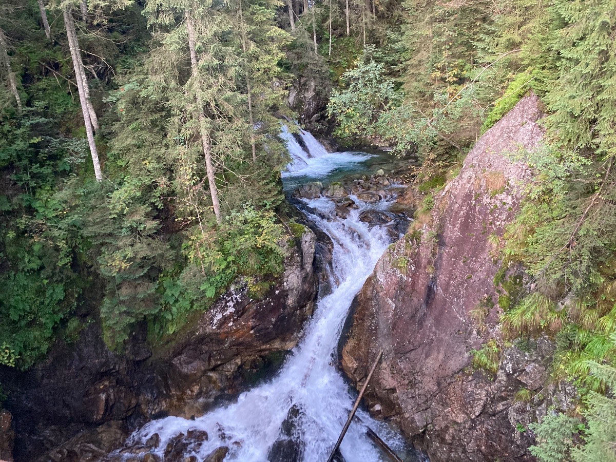 cd2c4989-26e8-4161-a34f-af7f049d73e3