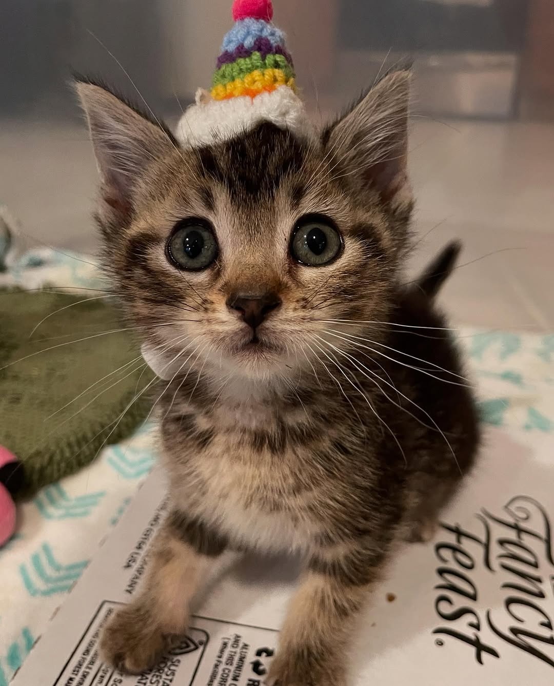 86c86901-8702-4b53-81b6-bfa7356efe58