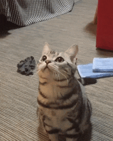 1d2c8916-c53a-45bb-8c17-4ed783c69fe1