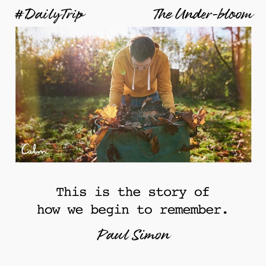 7547cc14-1f23-4676-94b3-7c9139405ac6