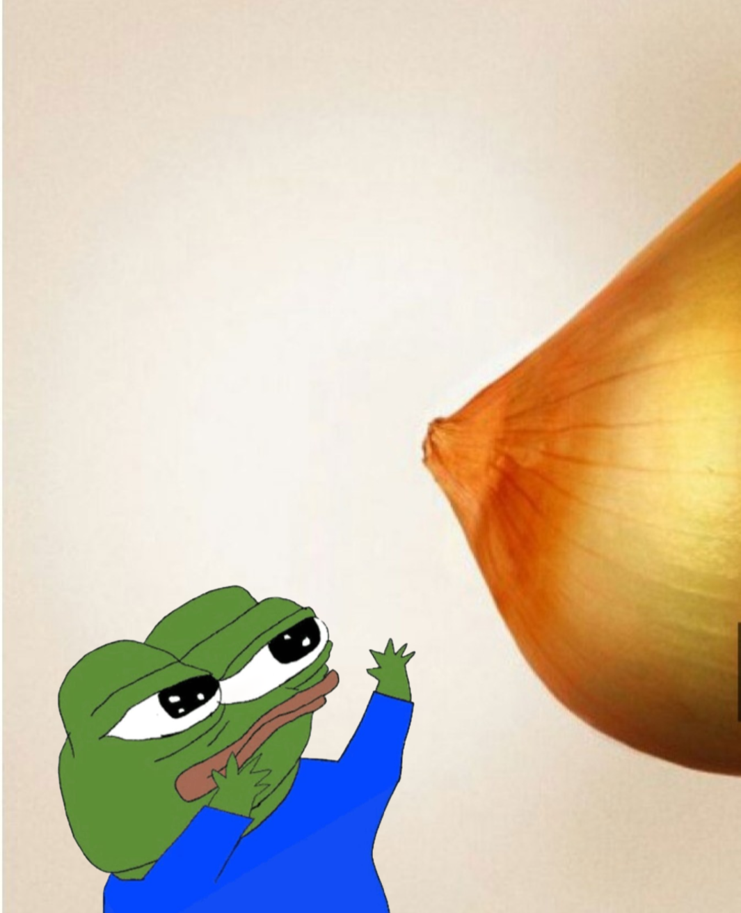 9f537093-e22a-48d4-ab2f-c881b0ab0577