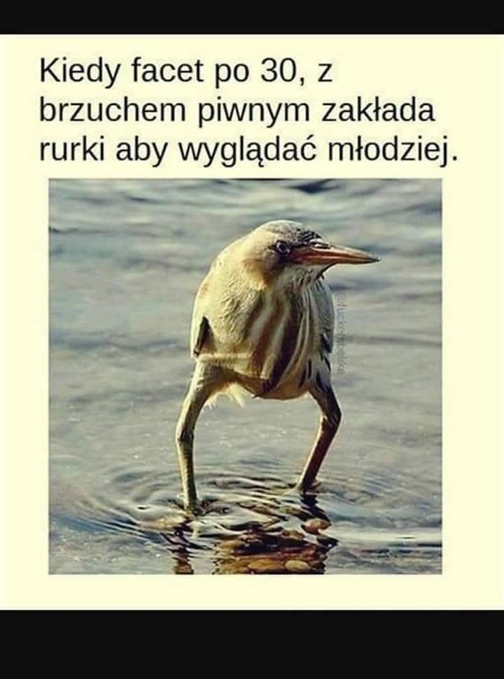 3416ce80-bcfb-4241-b7e4-f724be2f8c0f