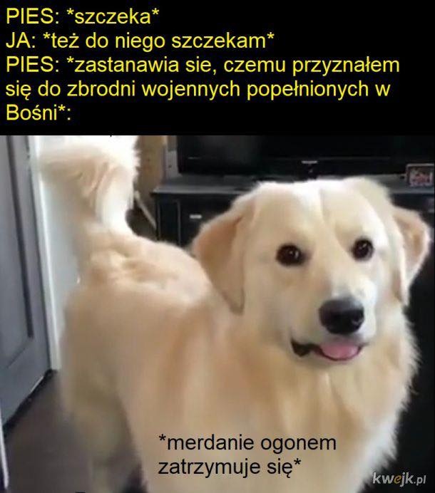 cad75d3c-5ee8-4e38-8cc2-fbaa85193078