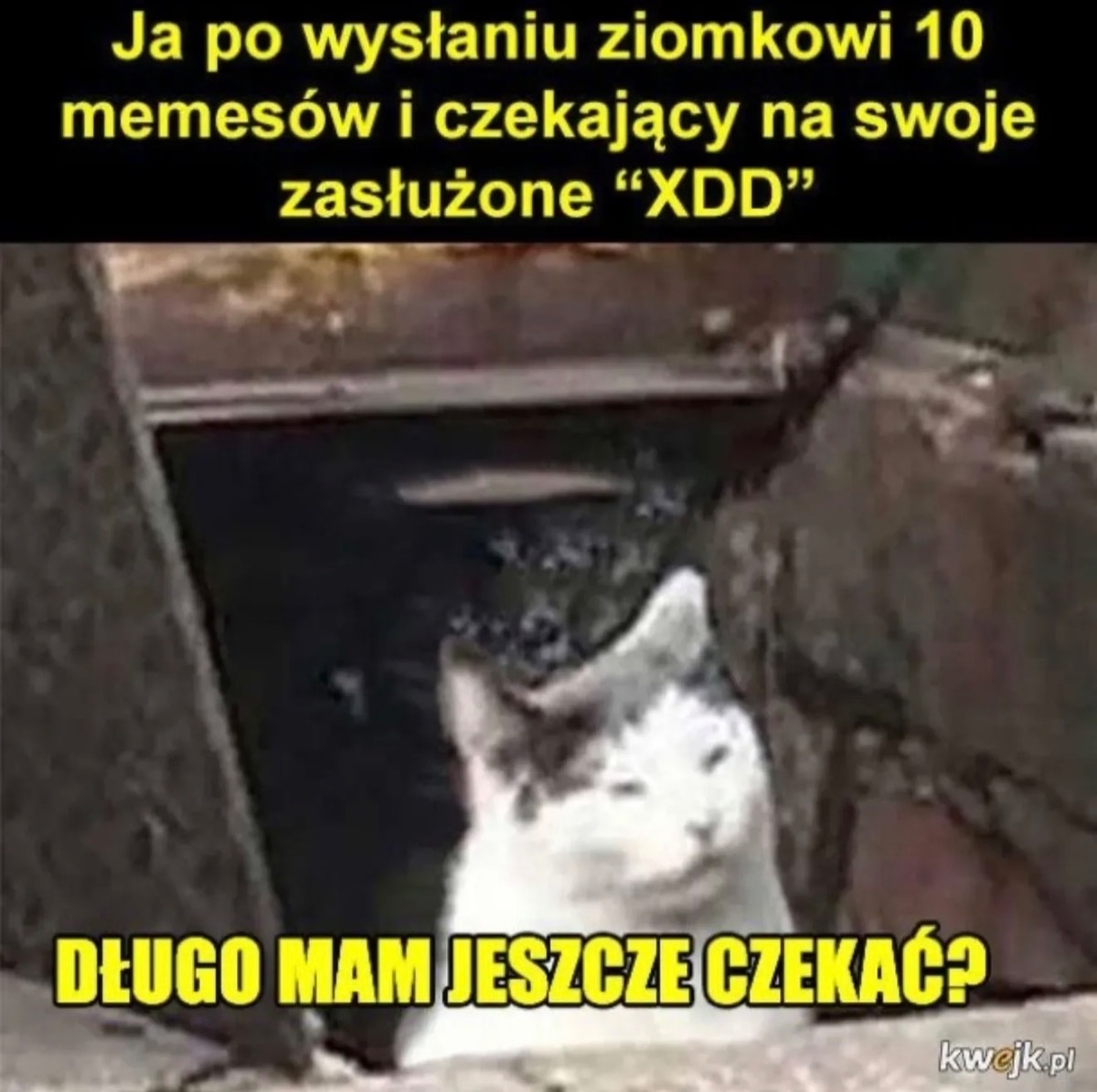 e9168d98-1d59-41c2-9ba7-c4ea85bc22fb