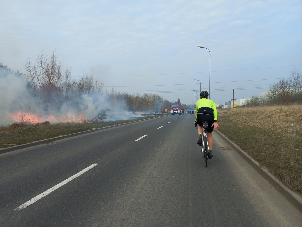 12331872-12bf-4aa7-8c56-3e664d924e39