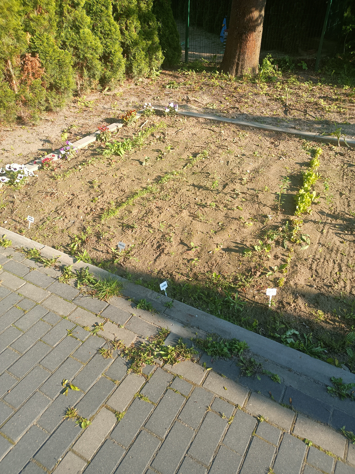 d8d29a47-1ac4-4aa5-aa93-bd788863fe94