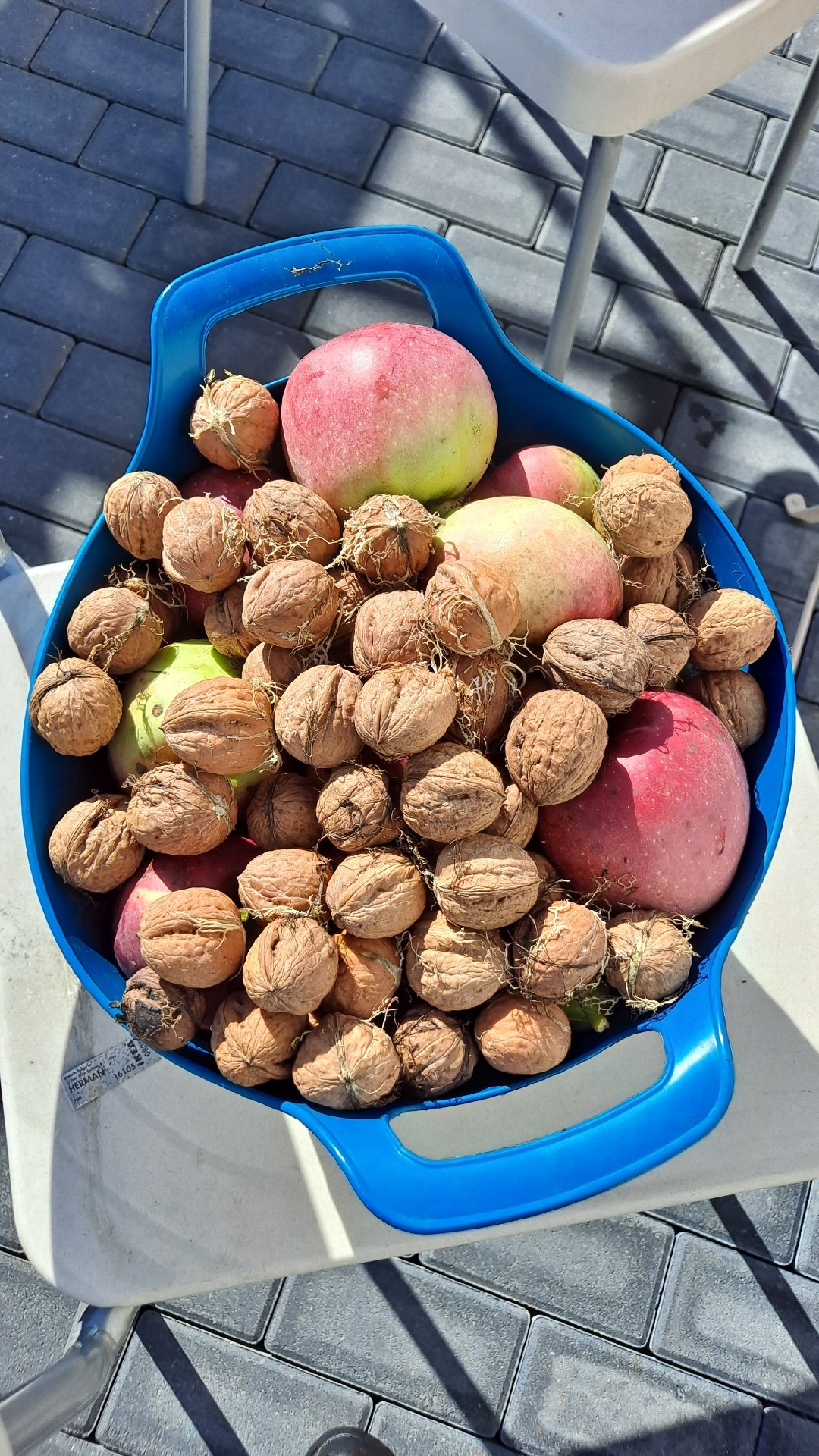 8849ba56-321b-44e0-b8ff-220ce694badc