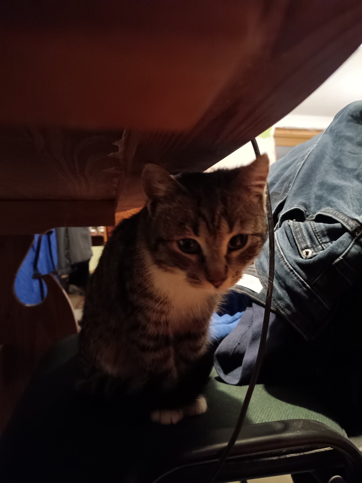 6feb8735-ec3a-4643-8ef6-640caf28d15e