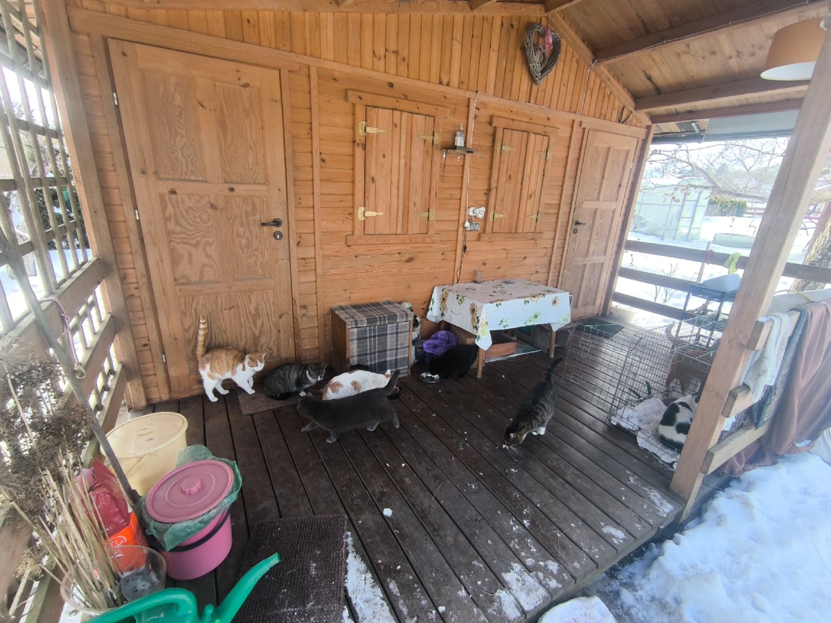 512c33a0-8ed9-4a1e-bd1c-2360a33b8be7