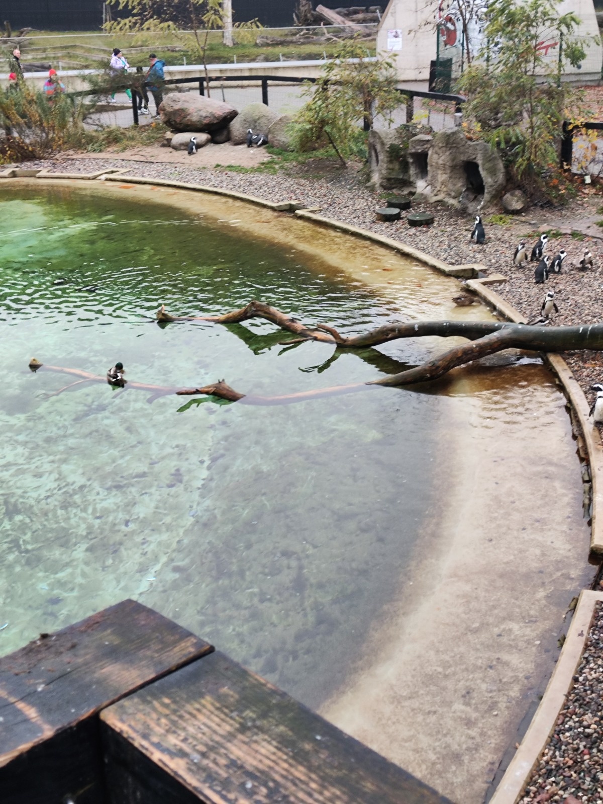 ca319704-7fe5-4ce5-b3e4-6914fe027399