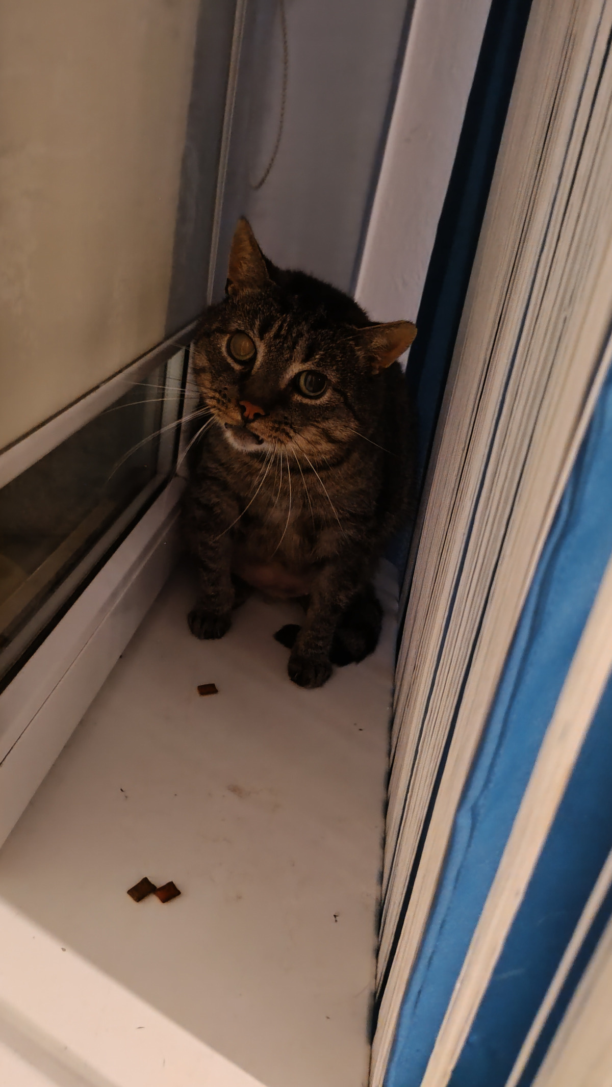 4bb25e68-37ea-4ccb-a437-13f5b87542c3