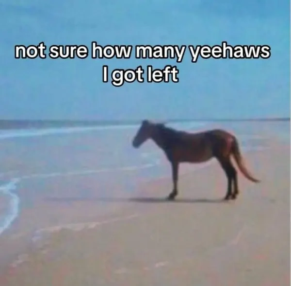 7c51bae6-29be-4e04-bd77-a7da02d3b40e