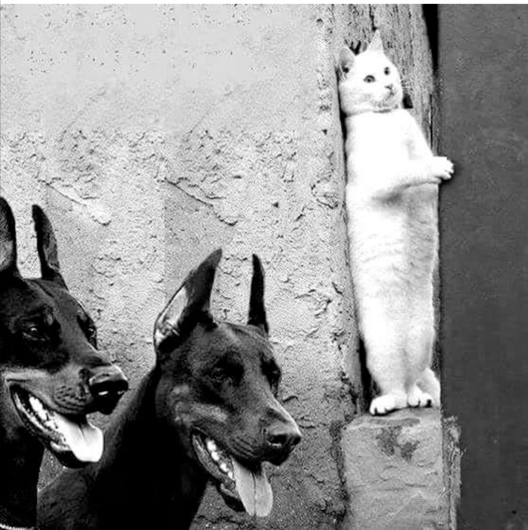 af1bc9ef-73db-4394-8df7-6f38897f0a62