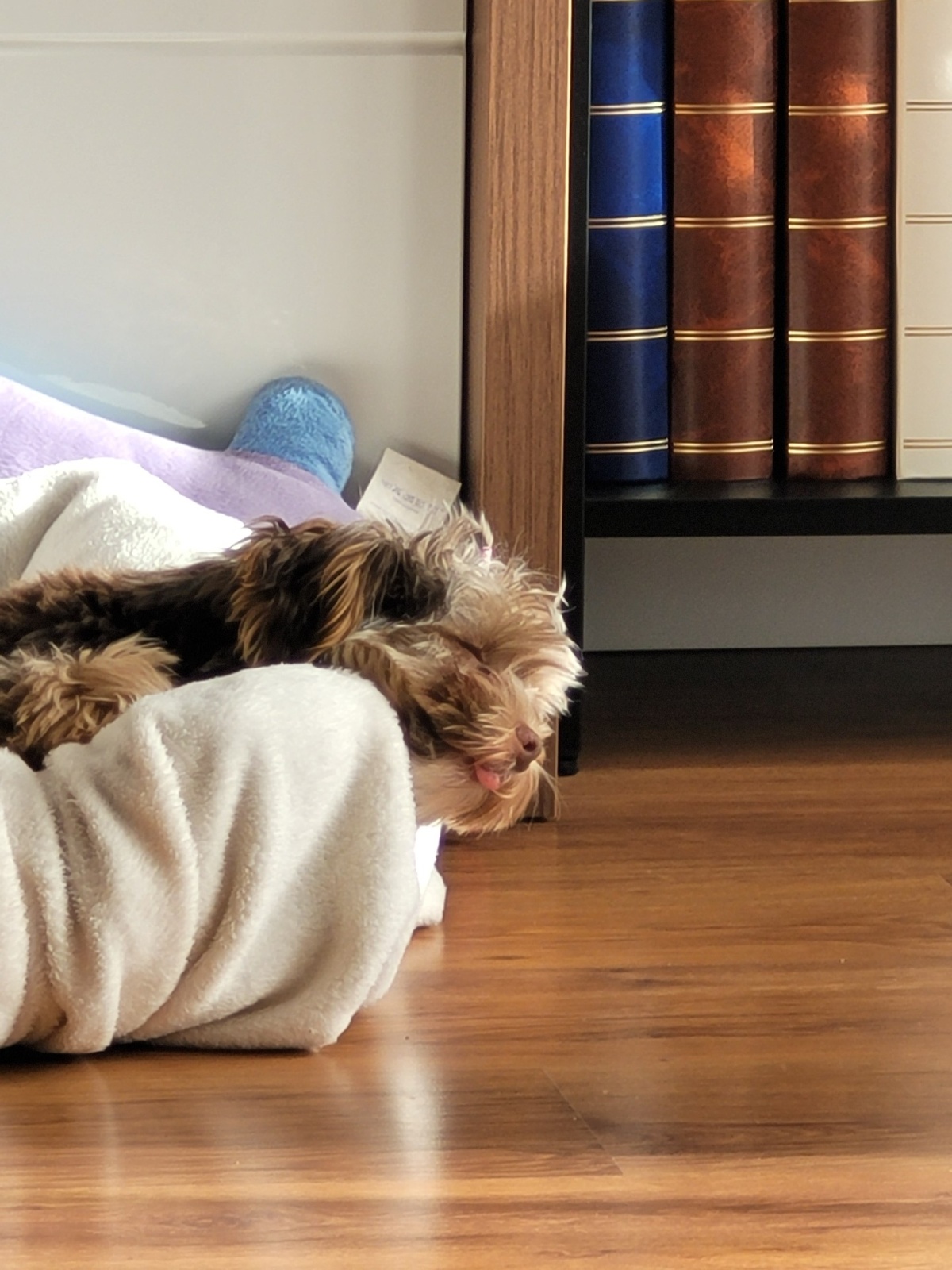 b8564457-2d84-4add-bb09-8ea24b41b611