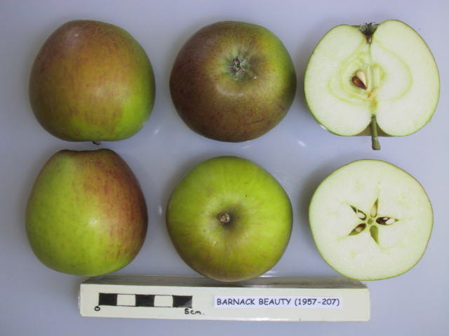 000cacc1-144a-4051-b9b1-c11809a9bf94