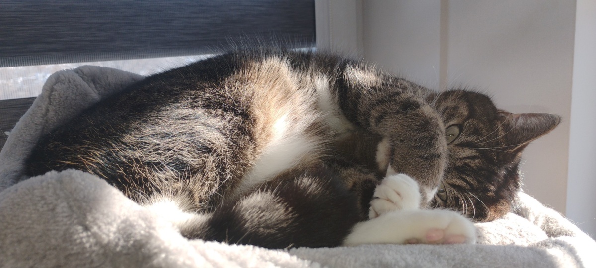 7d81b4a8-9a8d-4b29-8df6-659cf41614d2