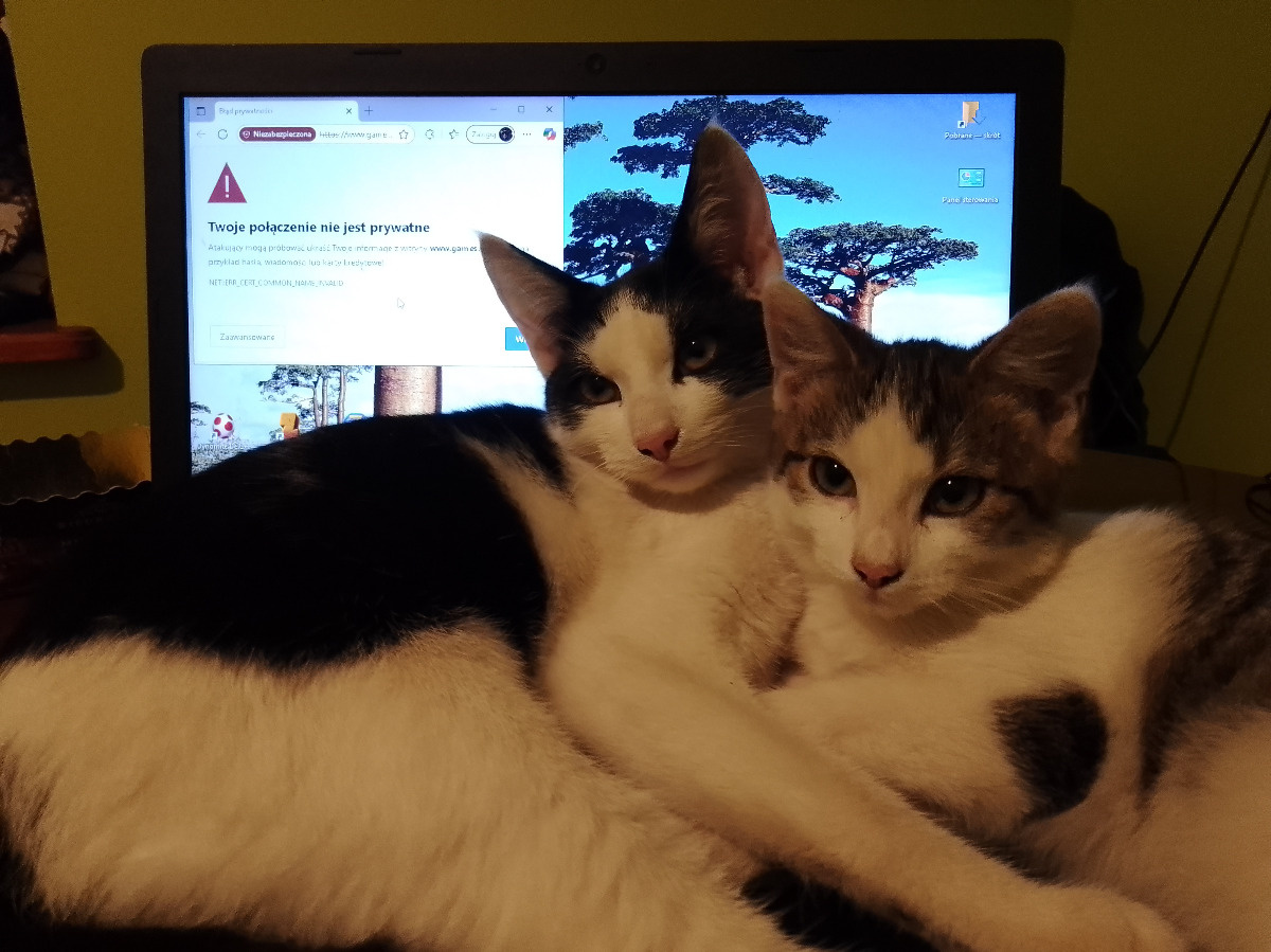 c159b56e-0d91-49f2-97e5-a36d5d6c6d0f