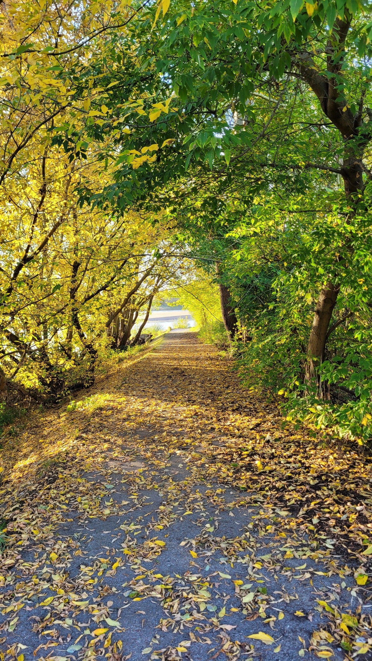 795c45c9-6543-4dd0-a5f7-10fb3ba7cdb6