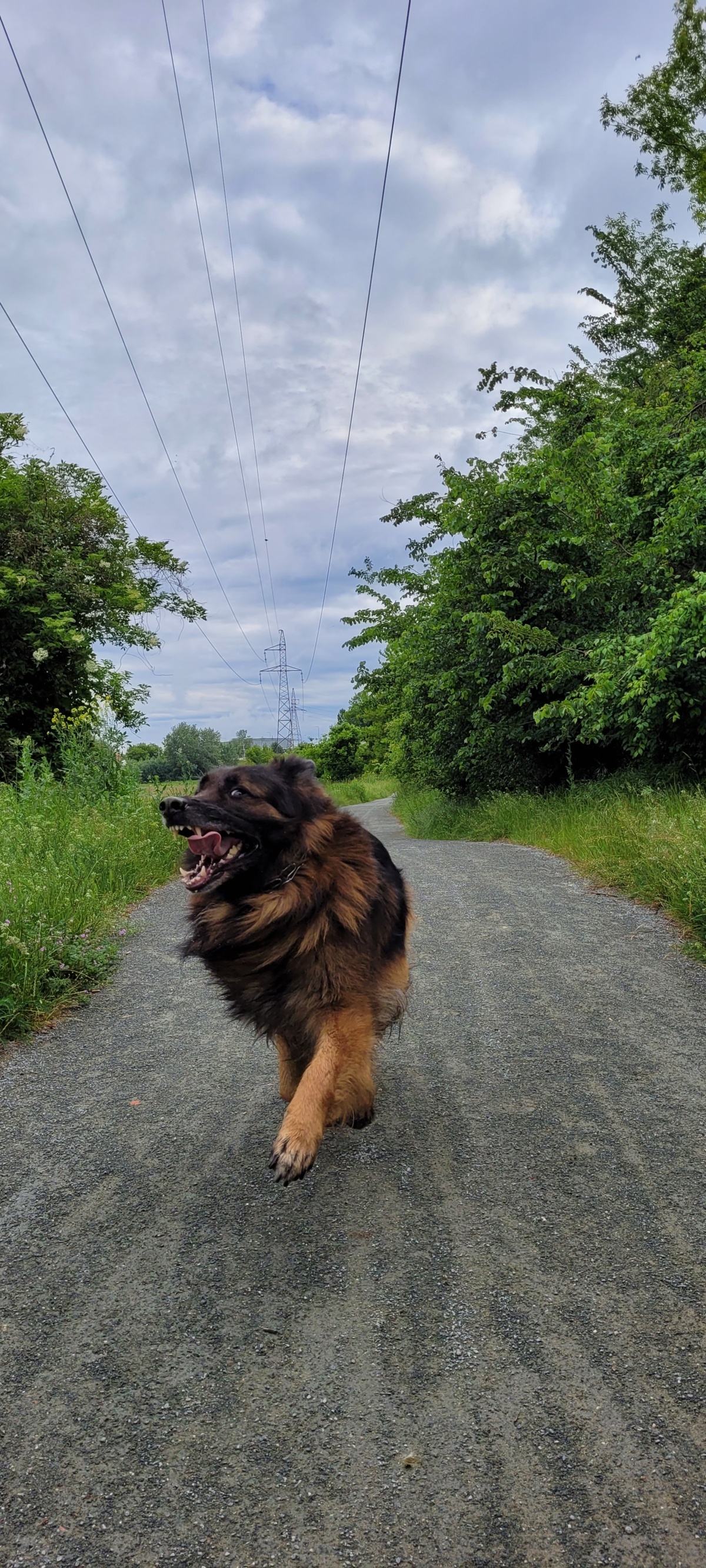 5cced7a3-c9f4-4795-98d7-a521108923d8