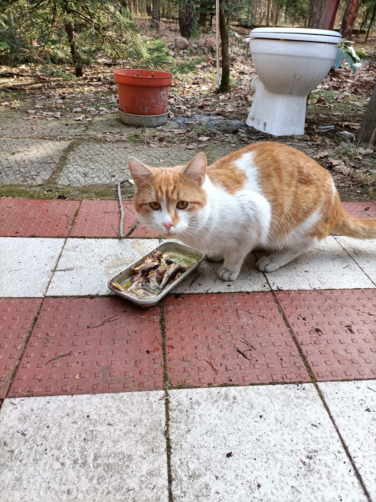 f0773c0f-7f65-4bc9-b60e-fc274c18c53e