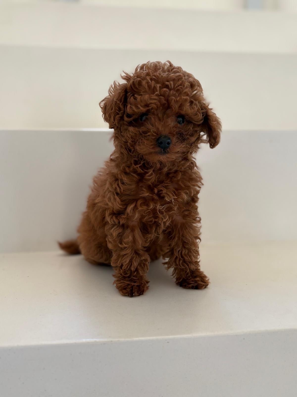 2b4a53f9-3a73-4098-b63f-9acb79807817