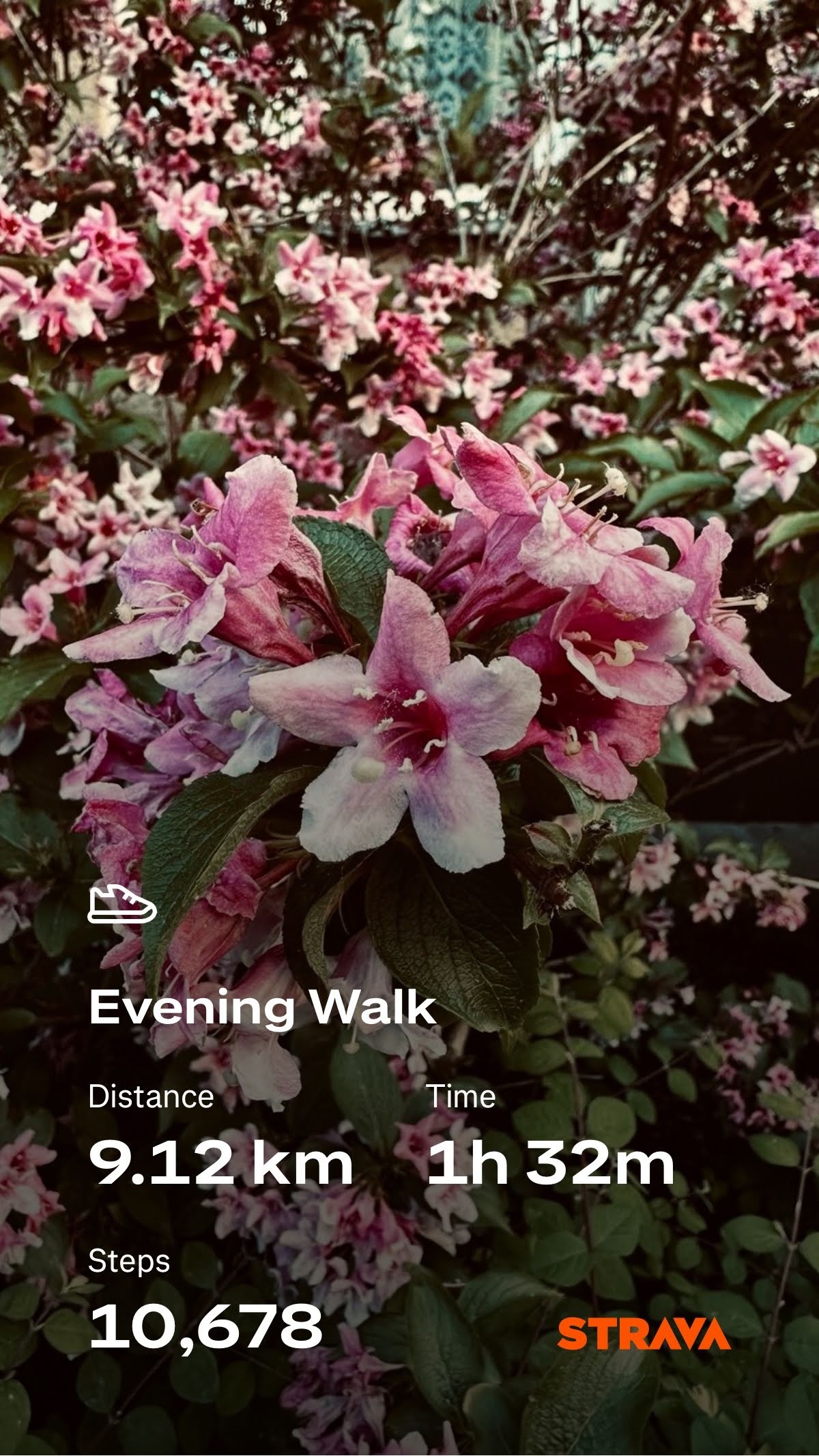 4e2169bd-d0a9-4fa5-92cf-f2d7091516e9