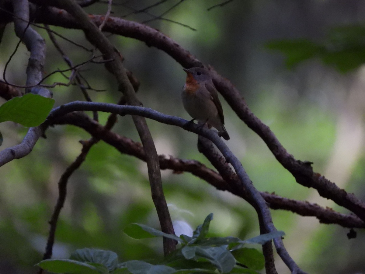 38c2fc6b-31f0-45c6-88cd-98a101165ff8