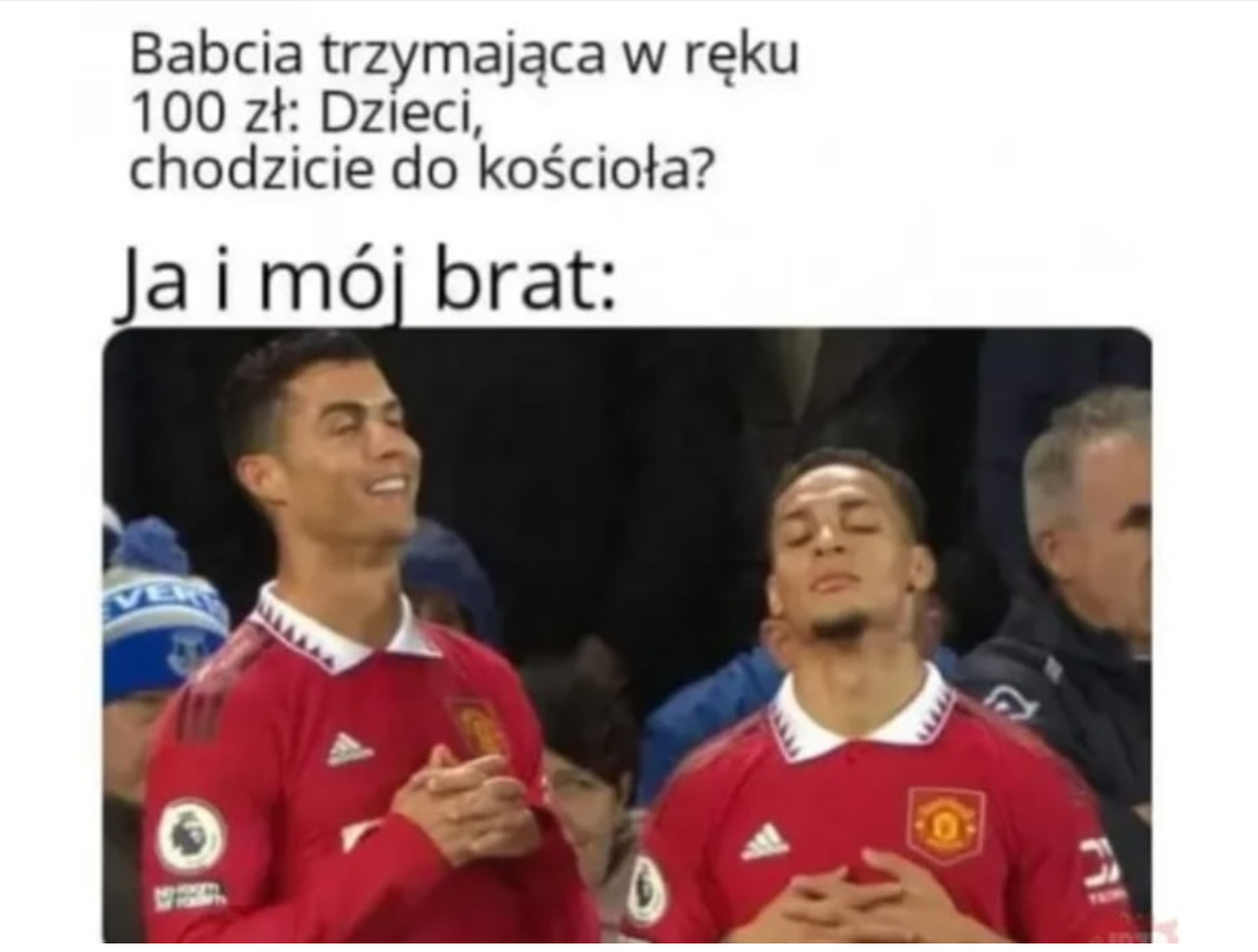 49e7a6b6-ce54-447f-8e03-bbbdc52edd15