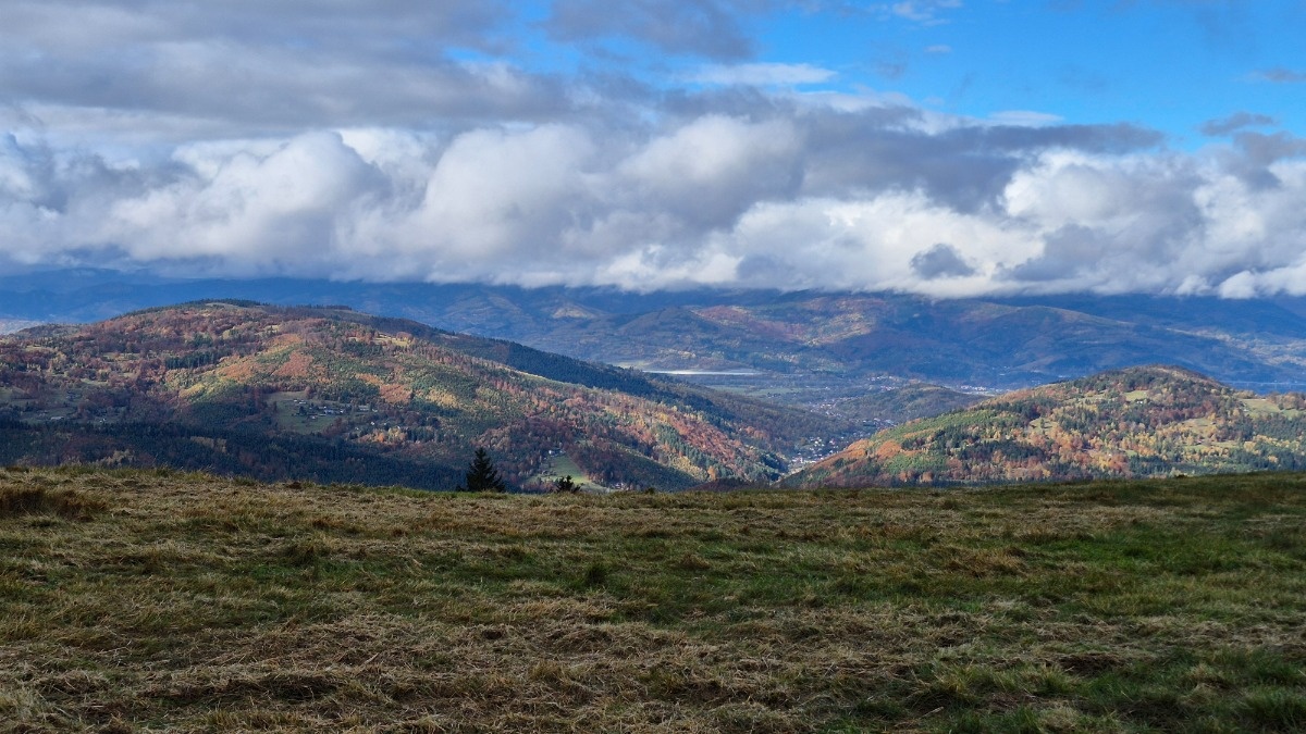 458e312f-b4c3-4ba2-b32f-8b35c2974085