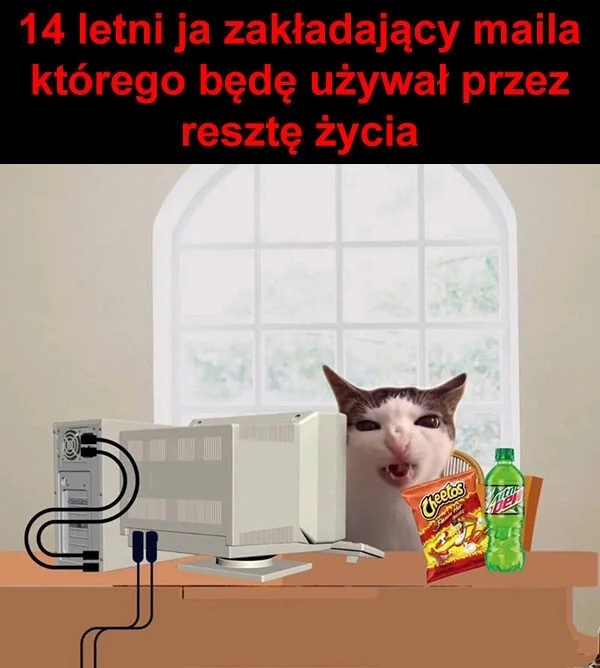 05890469-9aea-46ac-ade6-ffa308378ea7