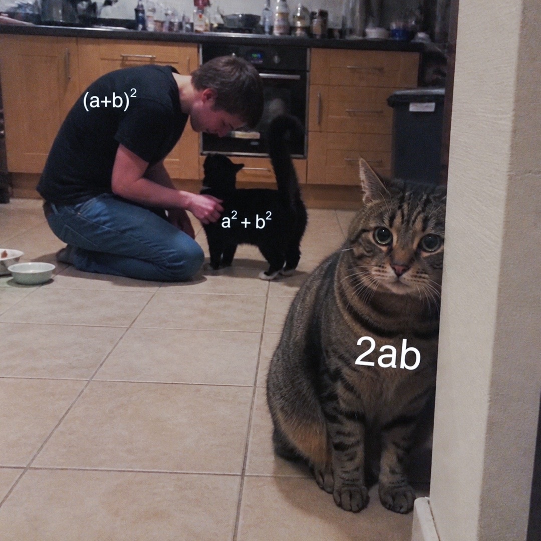 cf0d0ca5-3cd7-483f-ab83-6e6a6226db82