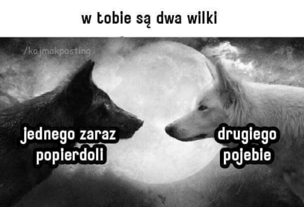 13ca0b4c-2c1c-44dd-a5e2-a6c60692fb76