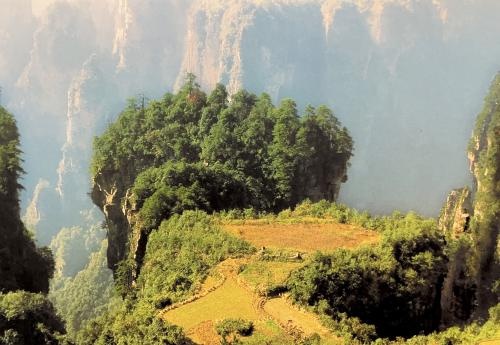 f6dd1eb0-e08d-4709-bcbd-b82ace8972b4