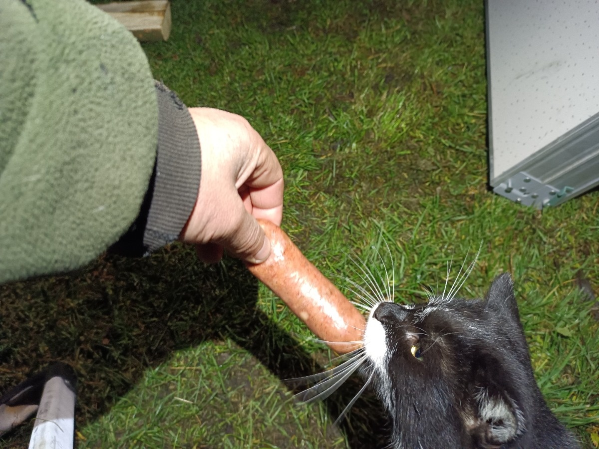 41216c26-790e-41f4-b7a6-e06e5f79ae3a