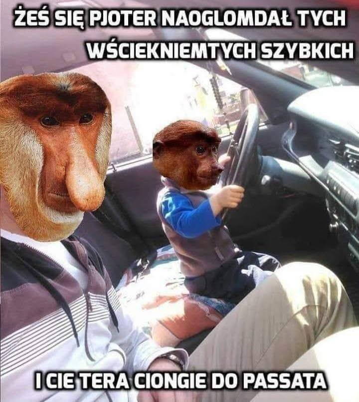 cc429fff-38dc-4a59-adfe-f1efa7e3e24f