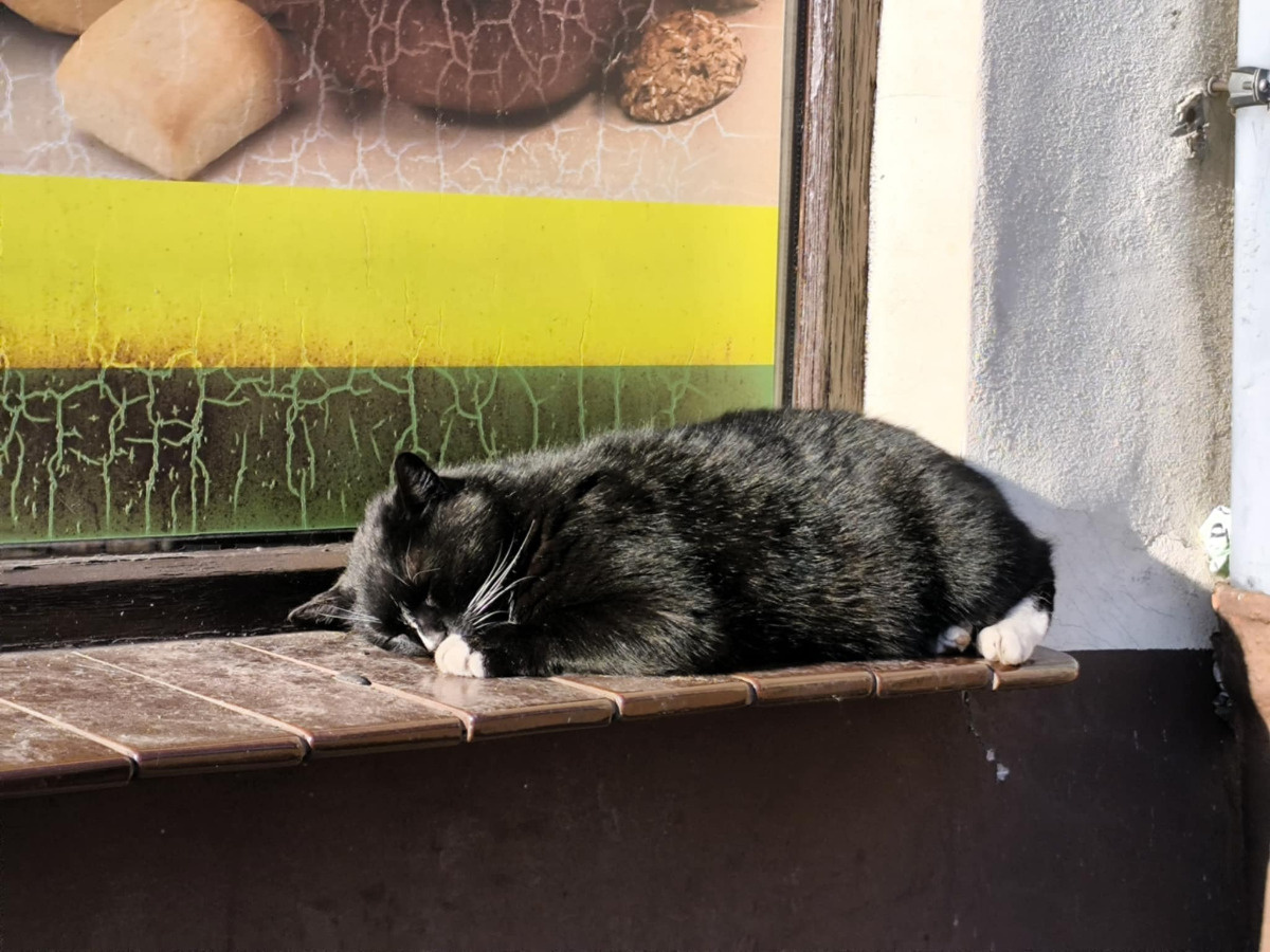 468bef3a-71ab-44d8-b44b-5bc0410a9e23