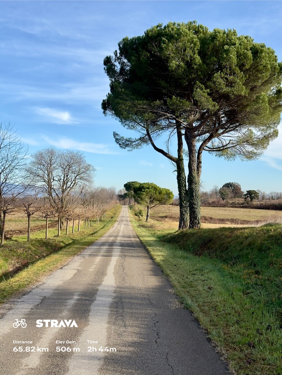 921a6410-4951-45a4-a7cb-bfdef8fc3235