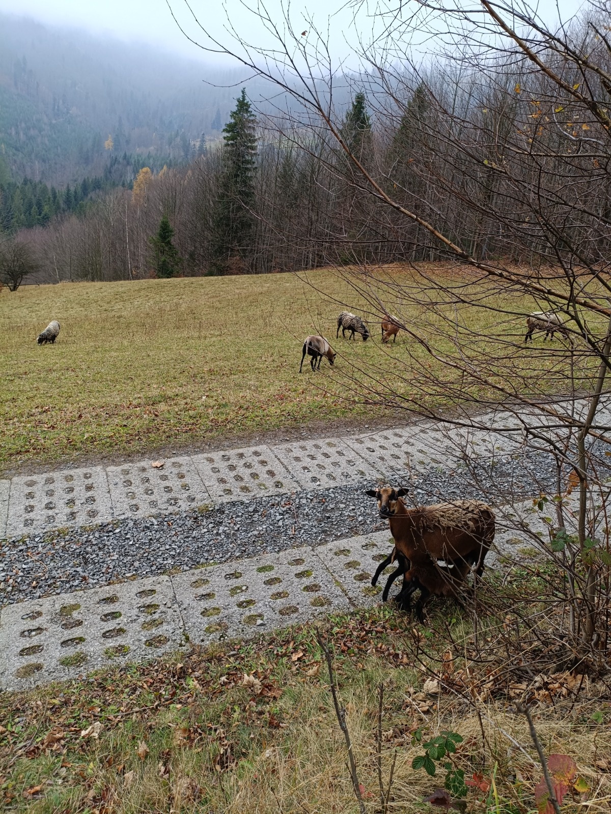 400b0260-72d2-4a4e-9be4-efaf06eab9fa