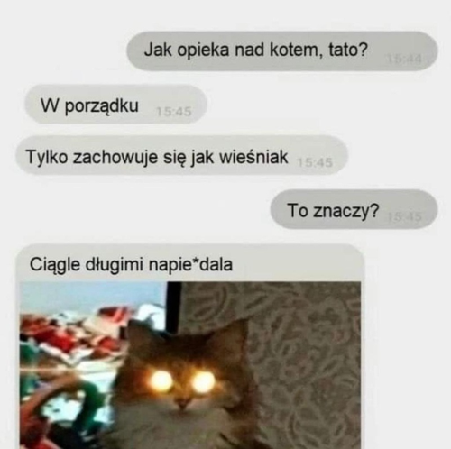 d869b24d-da69-4fc9-9385-f71a634e40a9