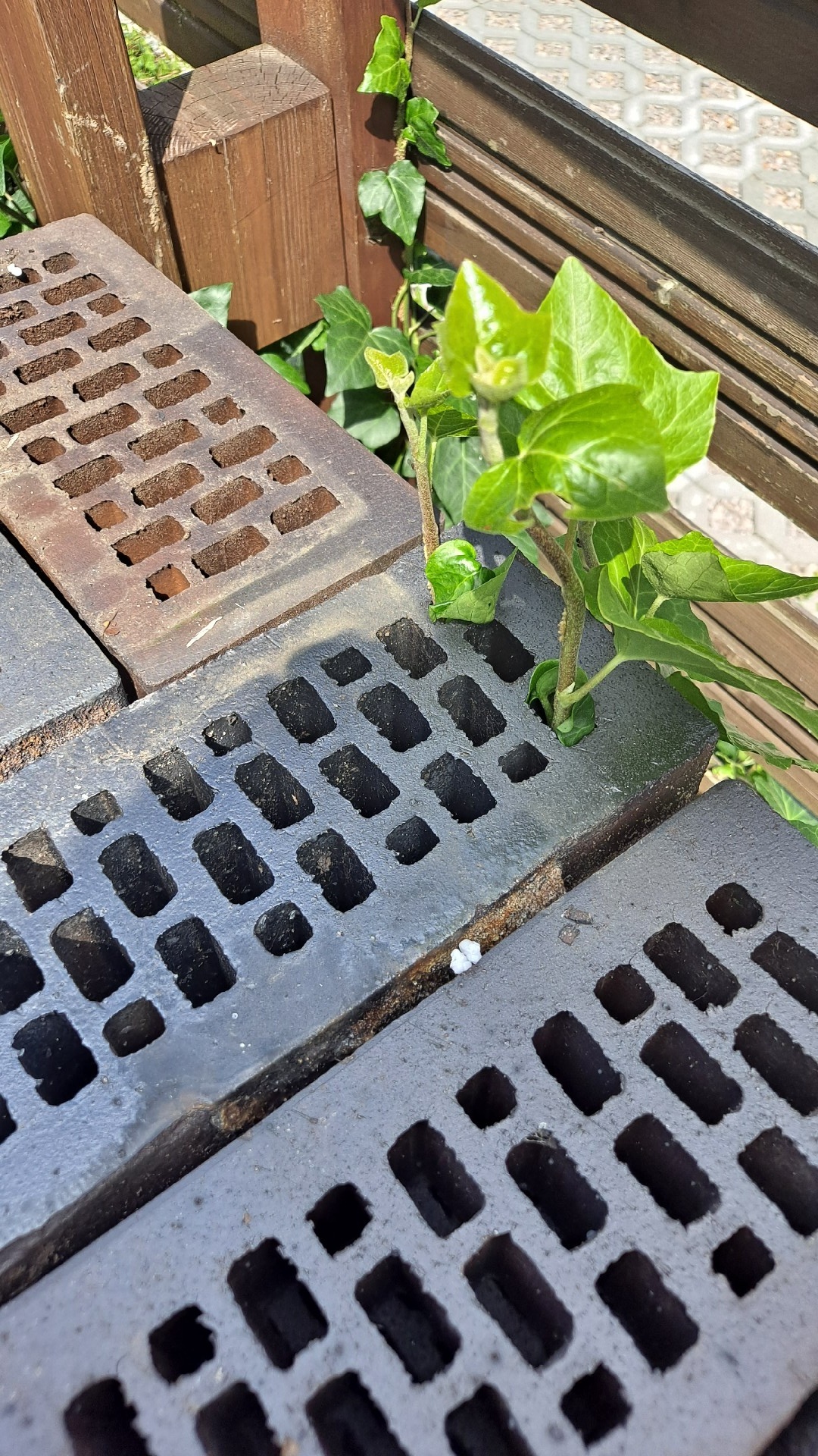 bb0f6ce8-1dd9-4eff-8d85-832da971cc2e