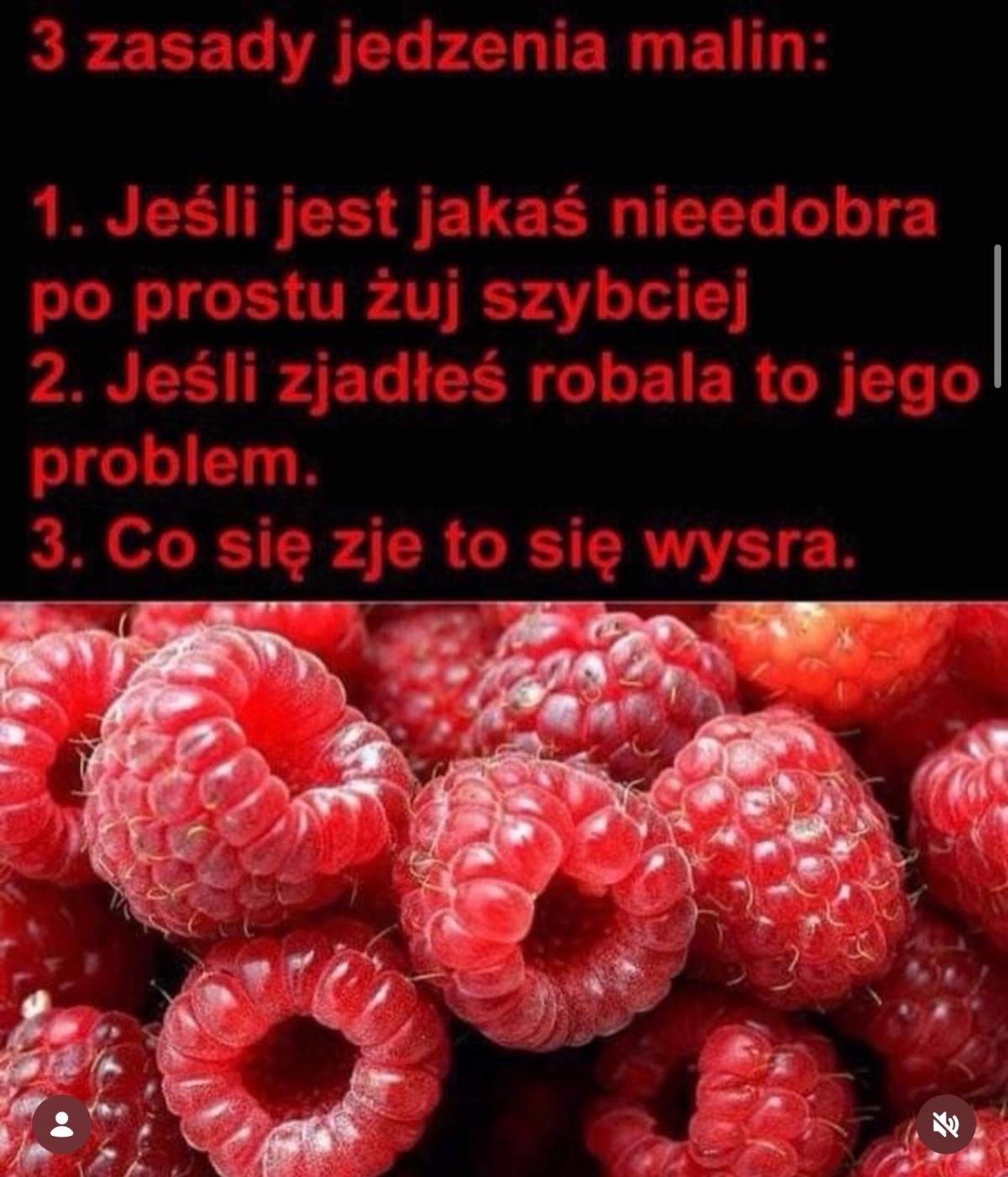 271b6b44-19e3-4588-a617-a246c4616904