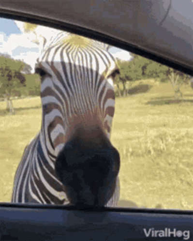 39ebe6d1-833b-4f82-9752-25766b8224c4