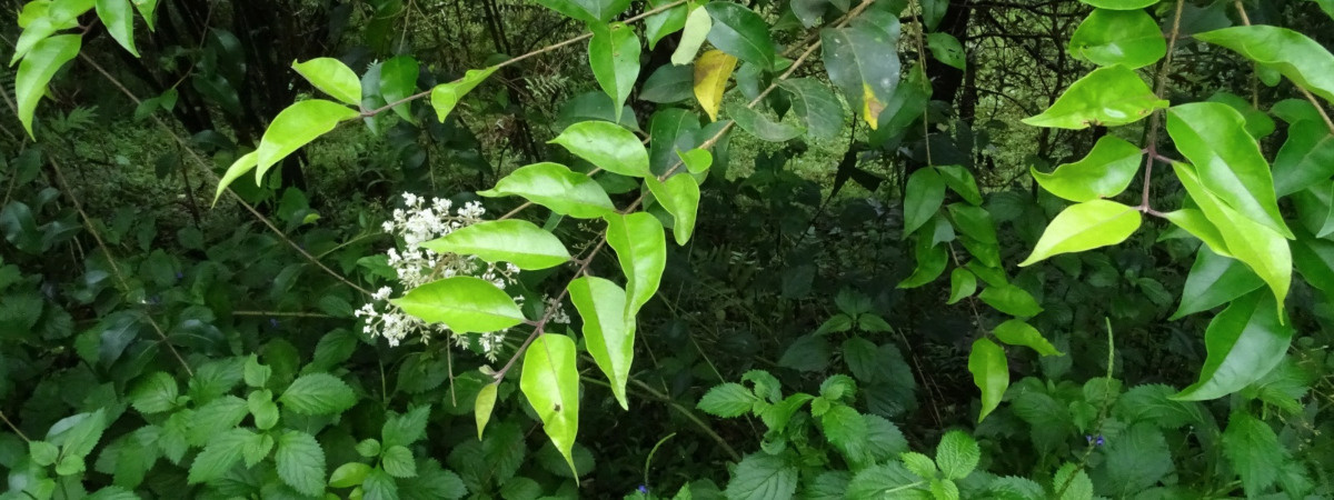 f09ed249-77d6-4e72-955c-b81a8098a7b2