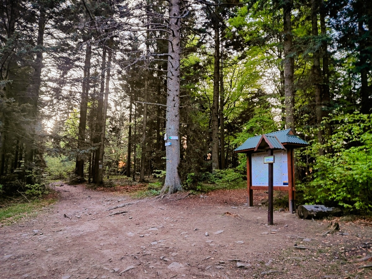 d22cab20-591e-480f-96cf-9d170a928e6b