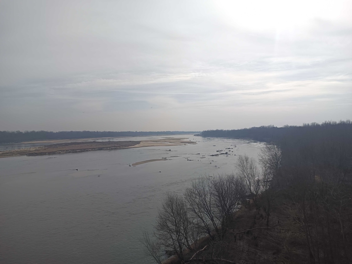 fb6d5316-8cf5-4e8c-9913-37ffcb70d355