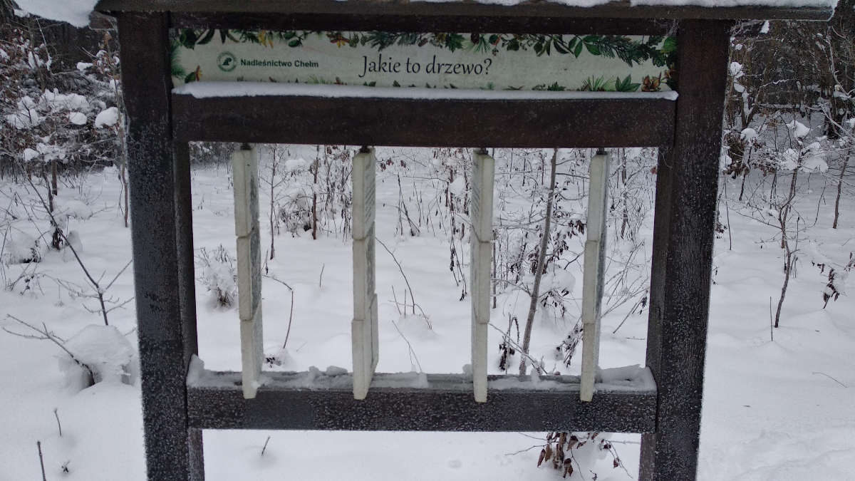 dd213d22-3175-4093-a7aa-f314cf886c2c