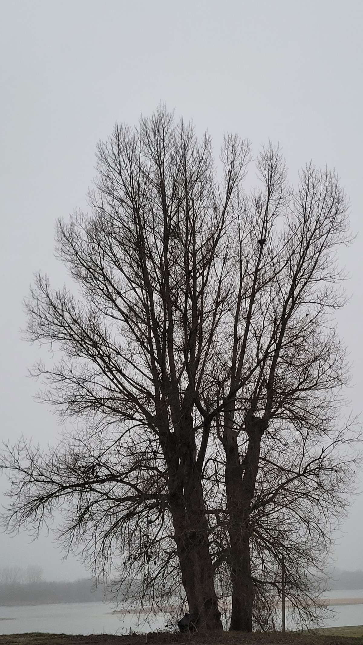 8dc2f3e4-f44d-41bc-82e1-26596ebe7241