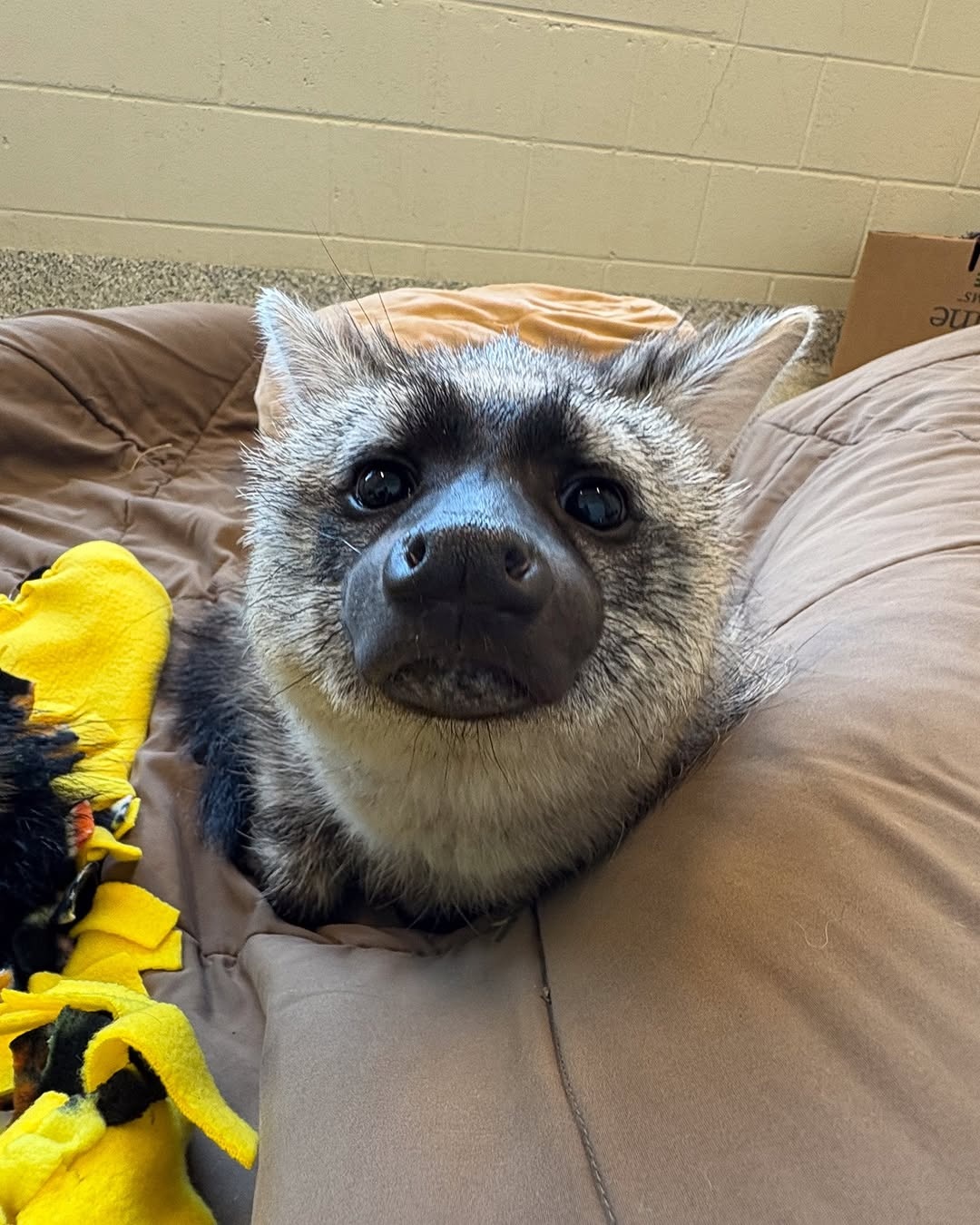 87d89b22-e83d-4d16-b6db-4a1346bb0c7e